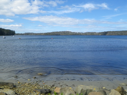Cockle_creek