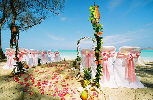 Beach-wedding-gives-a-distinct-impression-that-you-are-dreaming-of-a-marriage-that-nuanced-waves-and-beautiful-white-sand-7